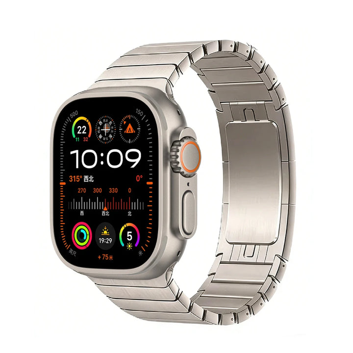 Link Stainless Steel Watch Band
