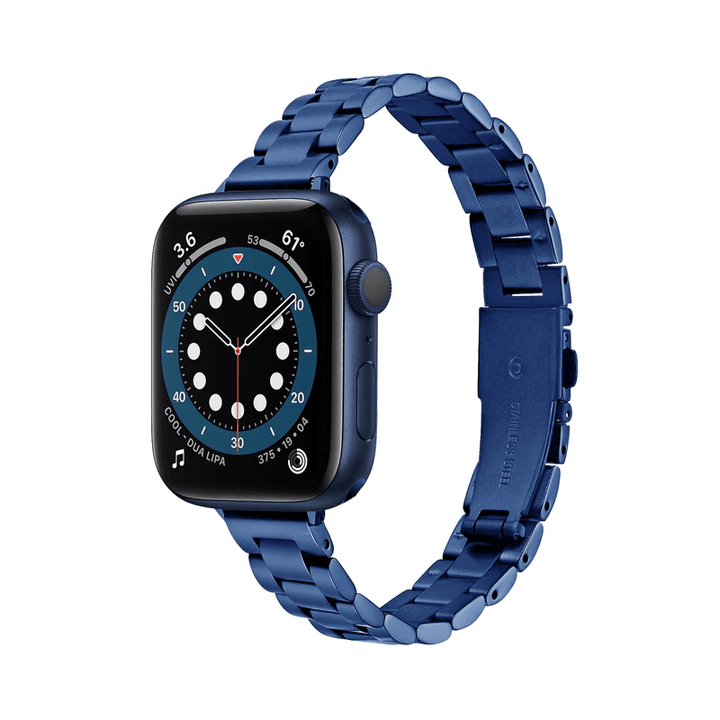 Slim Stainless Steel Watch Band Blue / 38mm, 40mm & 41mm DP210618S06&DP18111200